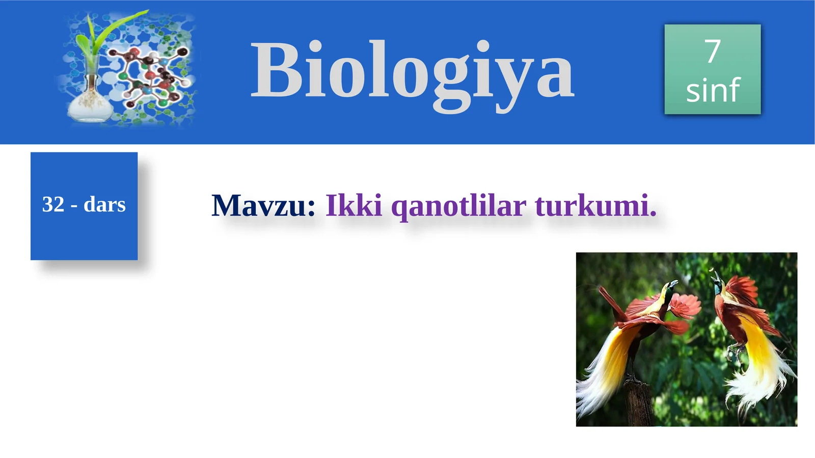 Ikkiqanotlilarturkumi