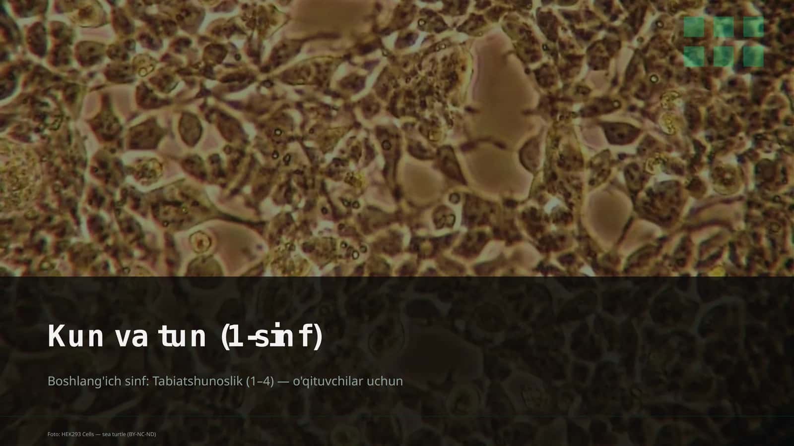 Kun va tun (1-sinf)