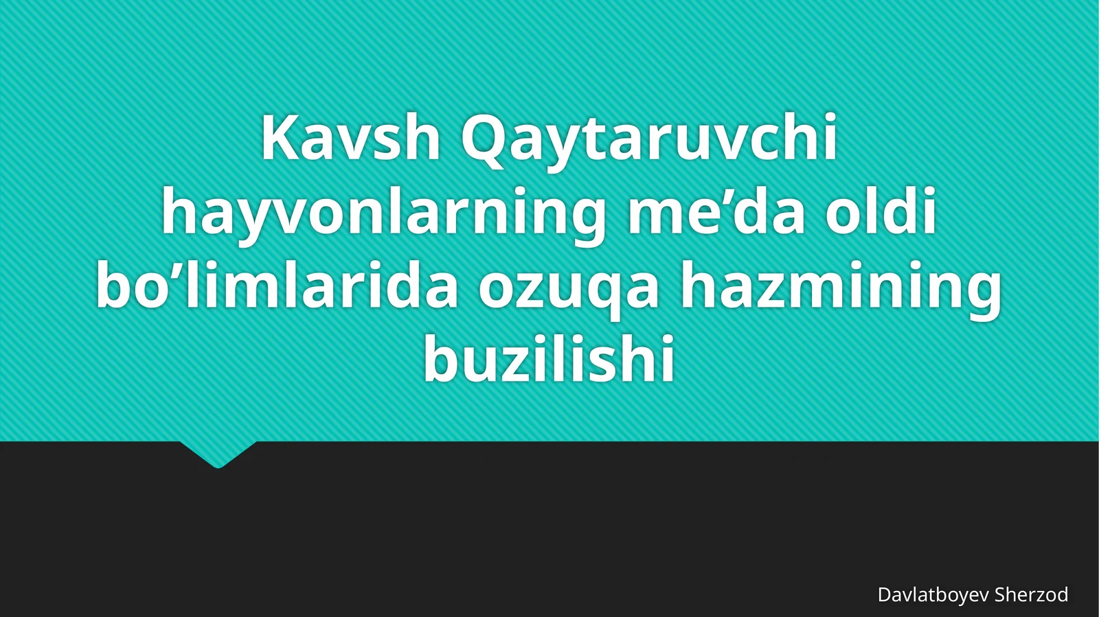 Kavsh qaytaruvchi hayvonlarning me’da oldi bo‘limlarida oziqa hazmining buzilishi