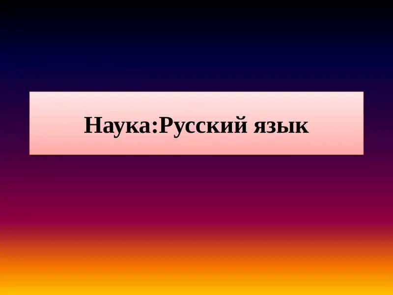 Университет
