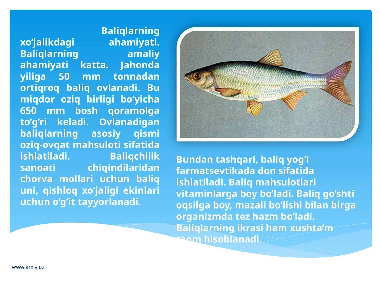 Baliqlarning xo’jalikdagi ahamiyati