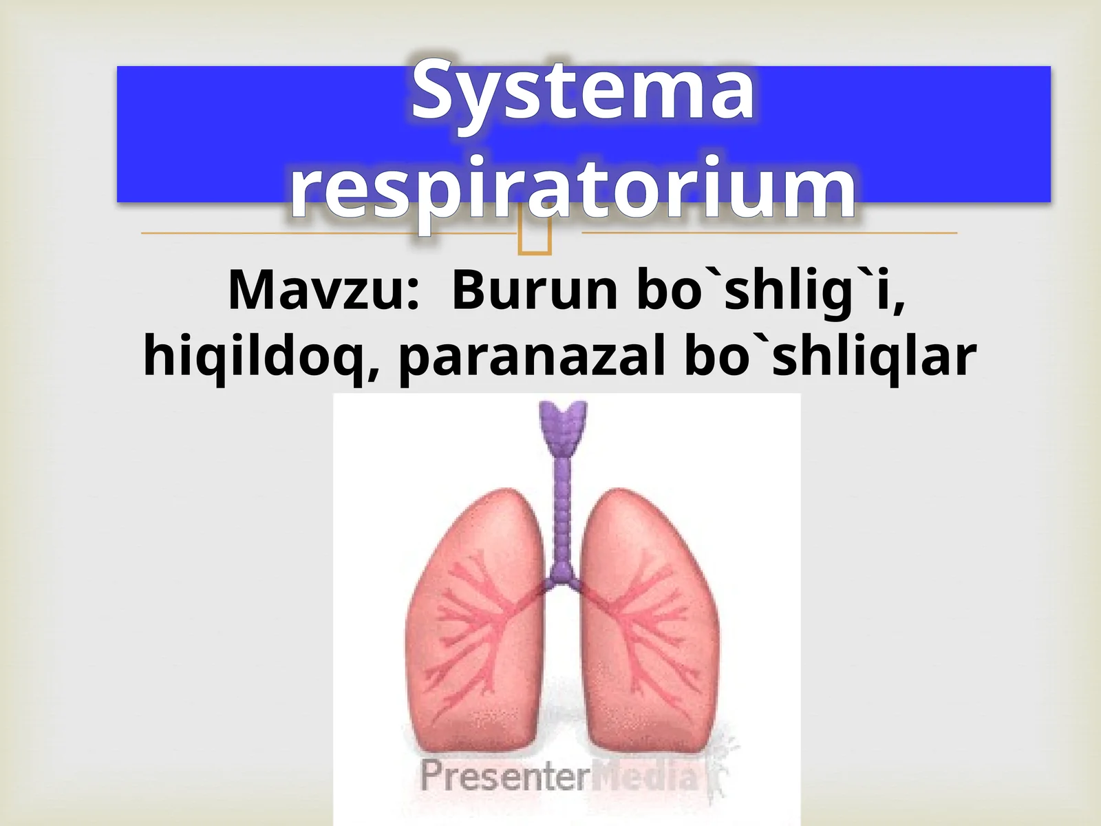 Burunbo`shlig`i, hiqildoq, paranazal bo`shliqlar