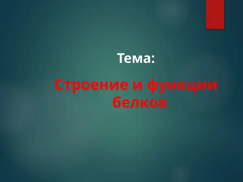 Строение и функции белков