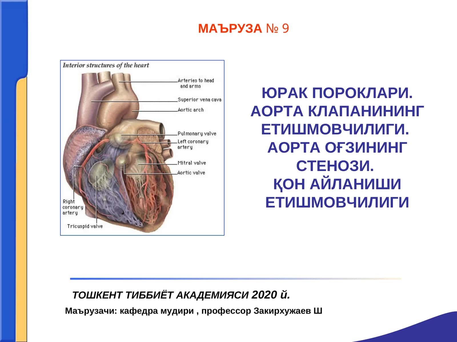 ЮРАК ПОРОКЛАРИ. АОРТА КЛАПАНИНИНГ ЕТИШМОВЧИЛИГИ.АОРТА ОҒЗИНИНГ СТЕНОЗИ.ҚОН АЙЛАНИШИ ЕТИШМОВЧИЛИГИ
