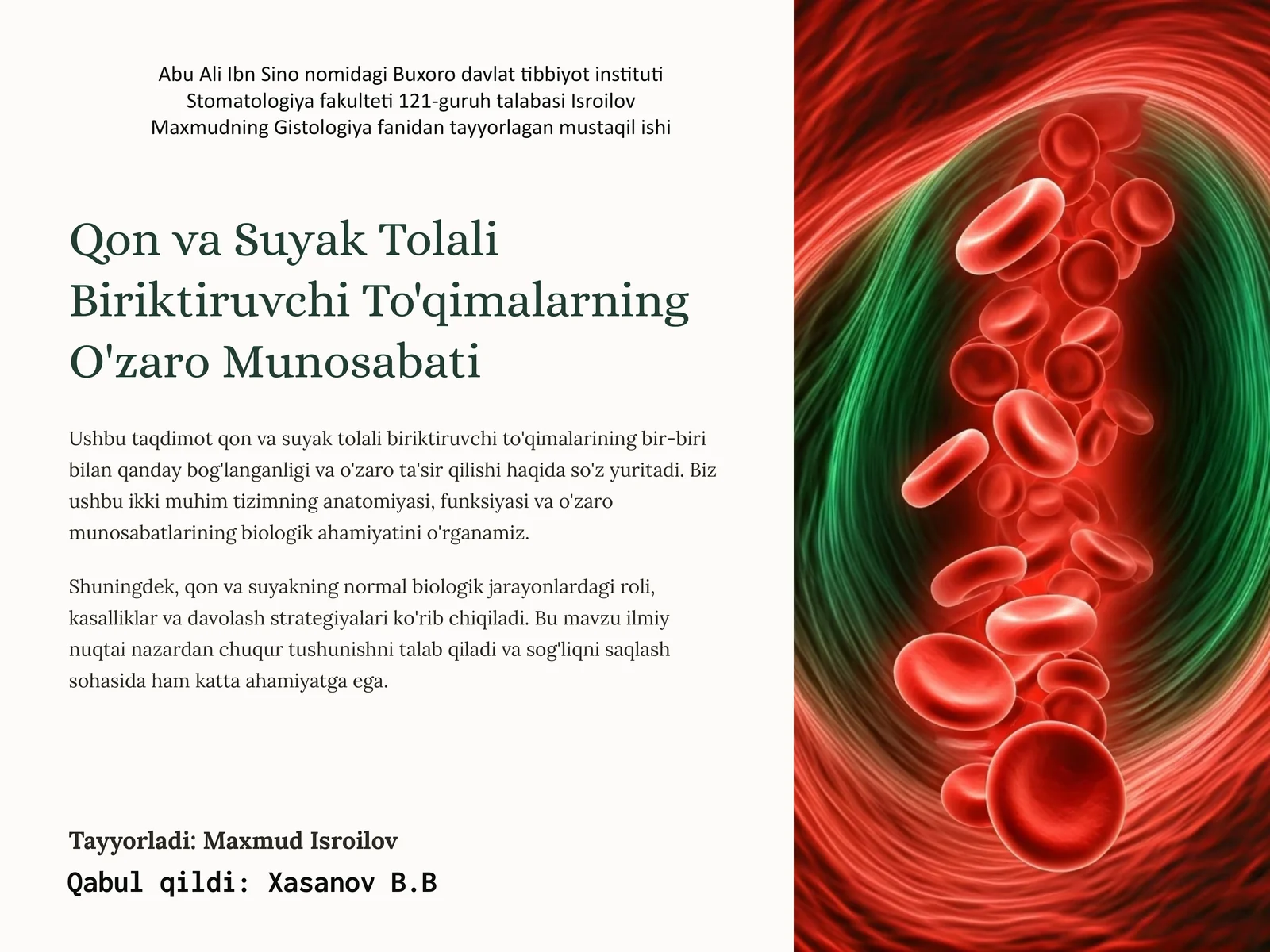 Qon va Suyak Tolali Biriktiruvchi To'qimalarning O'zaro Munosabati