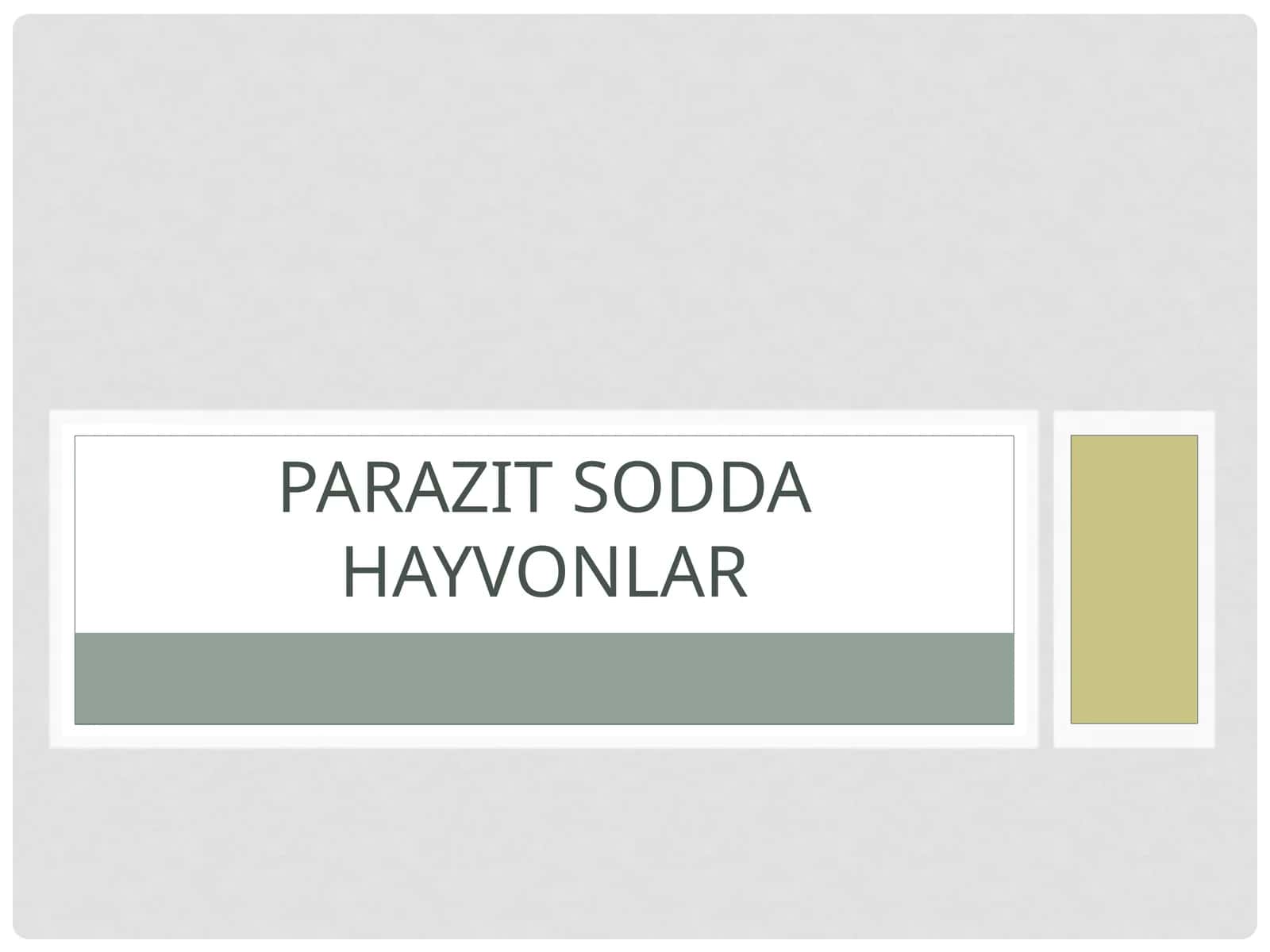 Parazit sodda hayvonlar