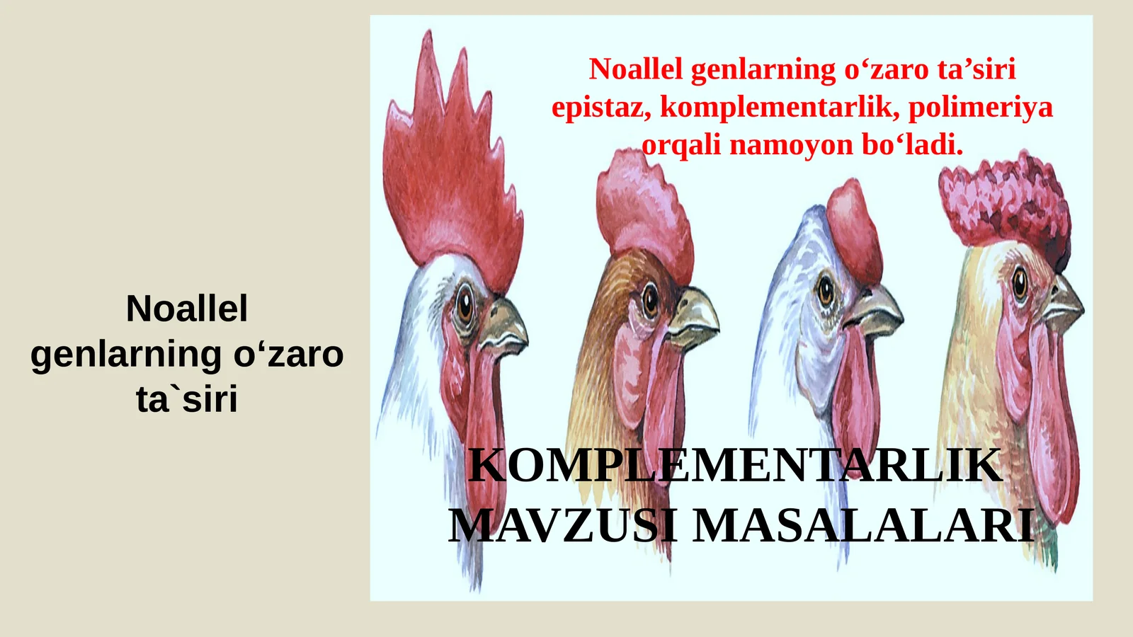 Komplementarlik MAVZUSI MASALALARI