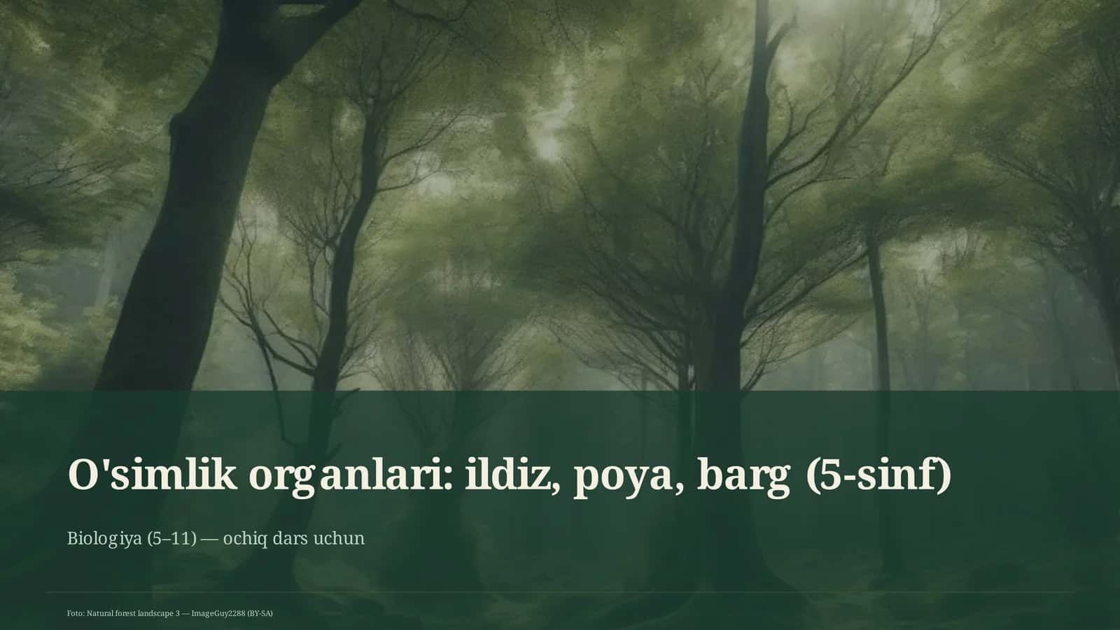 O'simlik organlari: ildiz, poya, barg (5-sinf)