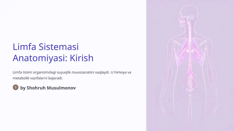 Limfa Sistemasi Anatomiyasi