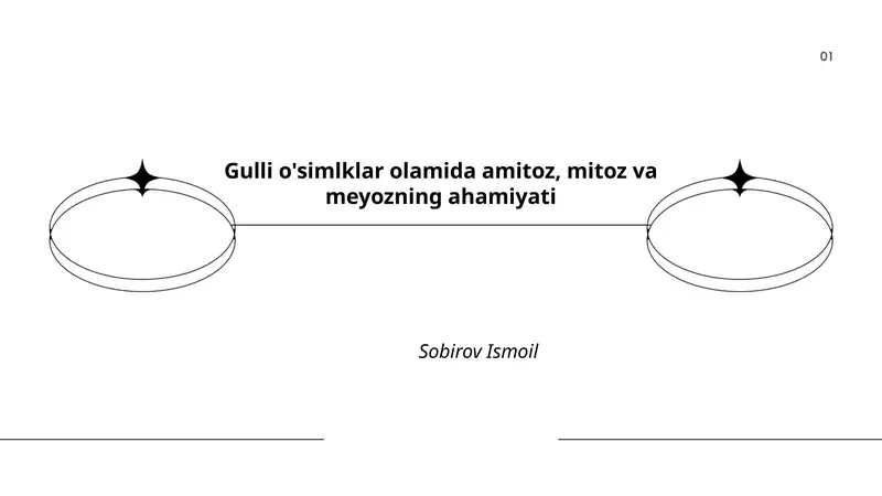Gulli o'simlklar olamida amitoz, mitoz va meyozning ahamiyati