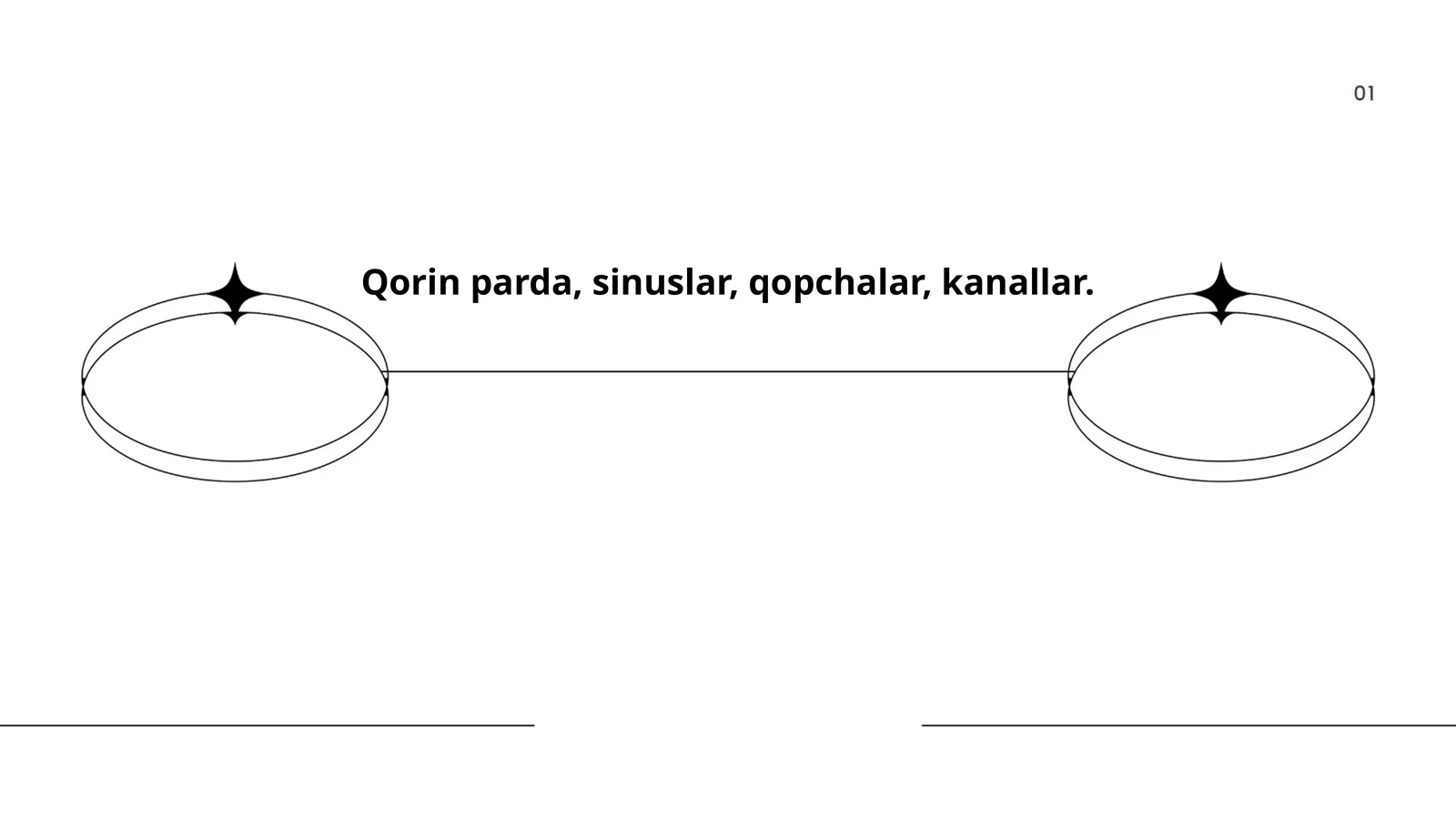 Qorin pardasi anatomiyasi
