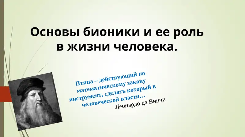 Основы бионики и ее роль в жизни человека