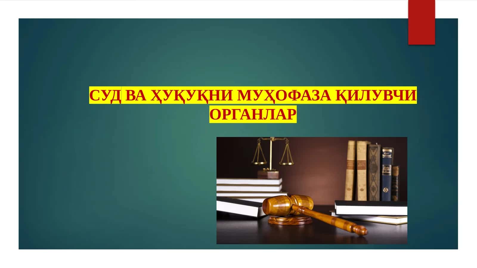 Божхона ва солиқ органлари