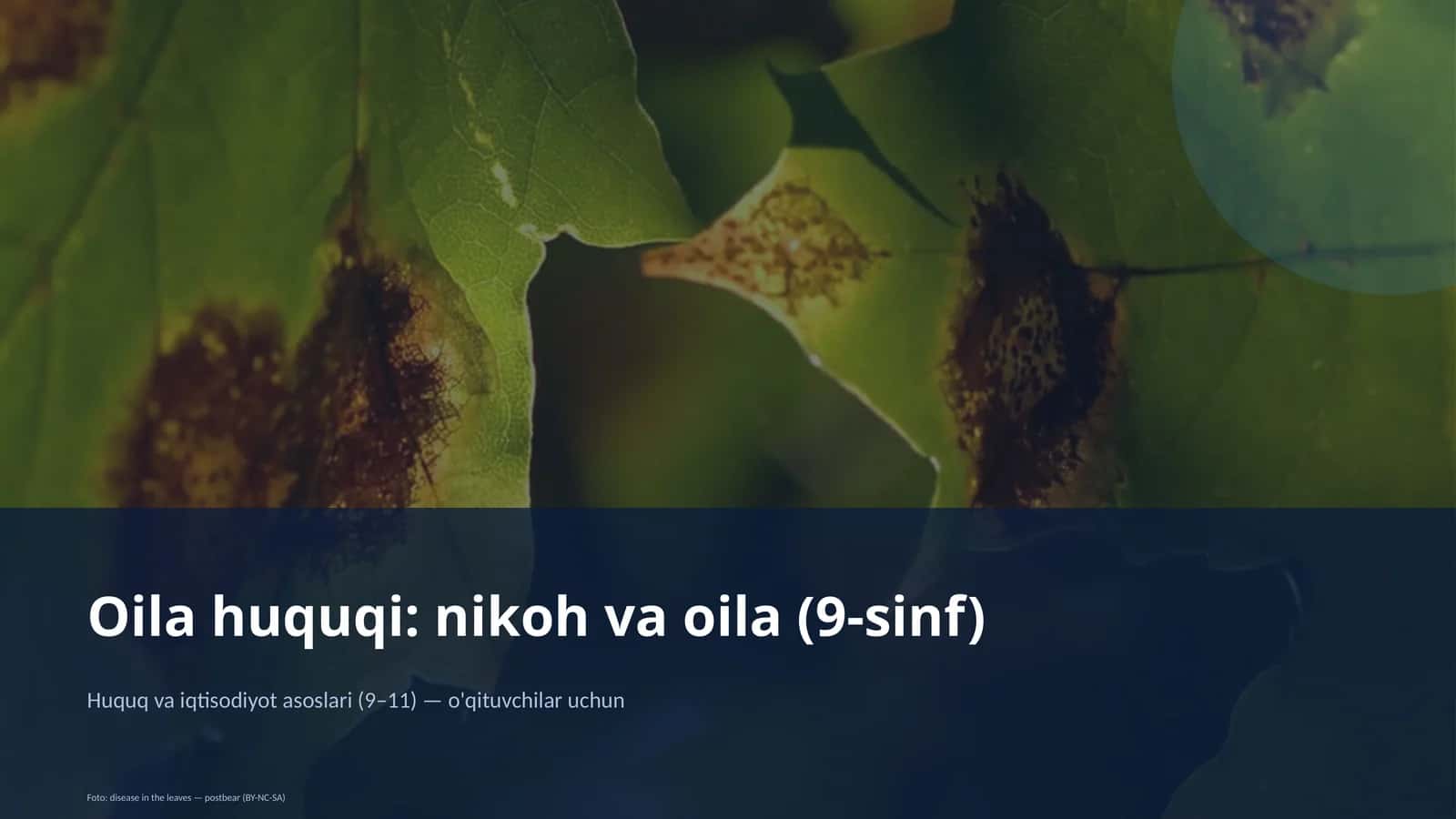 Oilа huquqi: nikoh va oila (9-sinf)