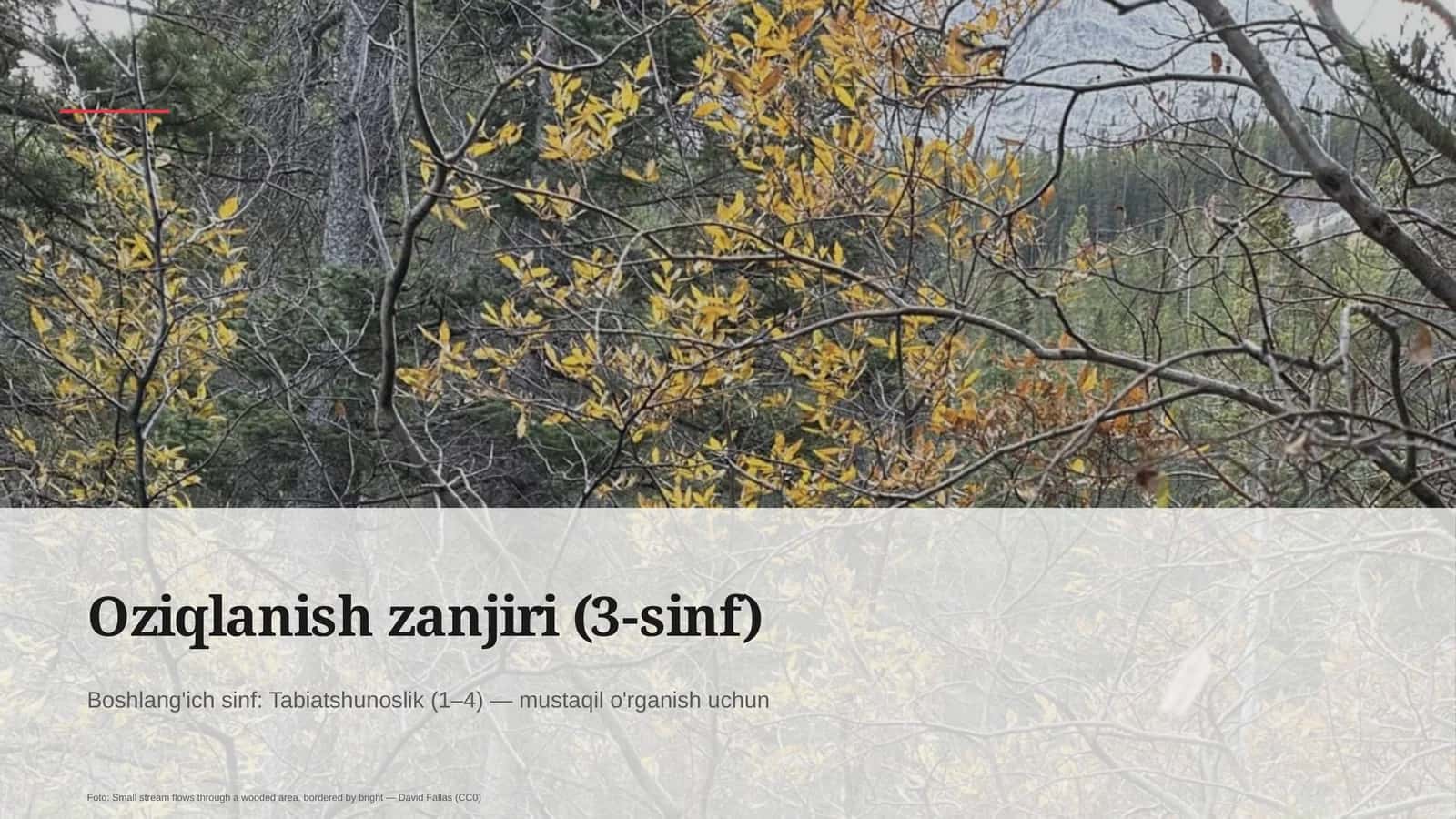 Oziqlanish zanjiri (3-sinf)