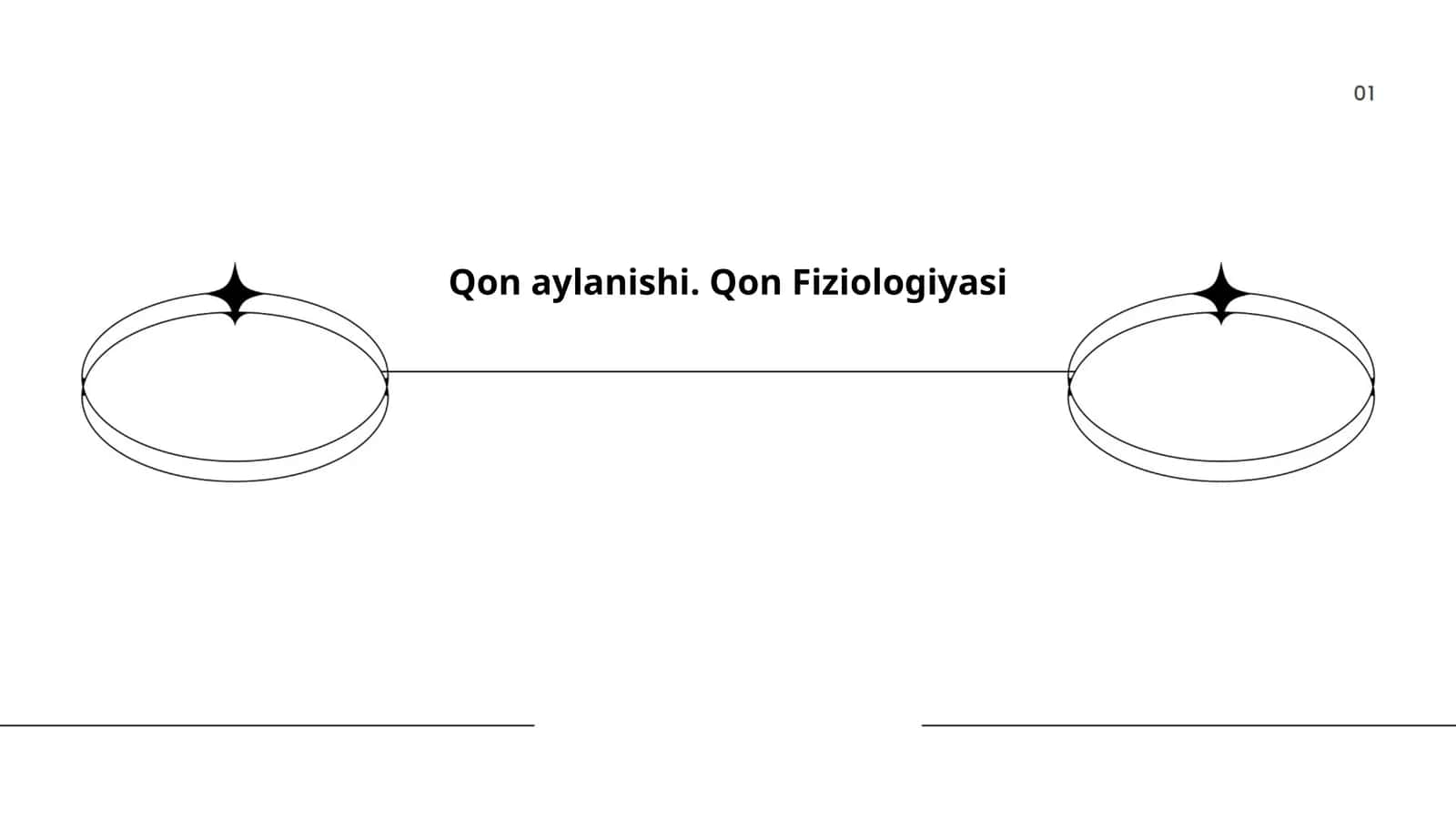 Yurak anatomiyasi va qon aylanish tizimi