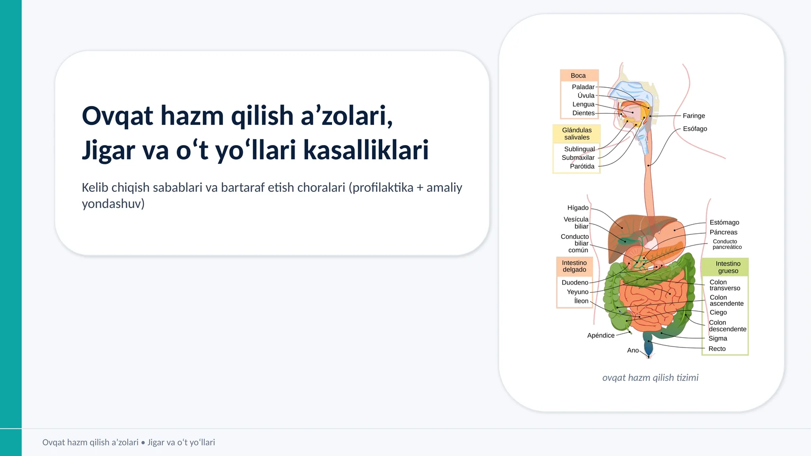 Ovqat hazm qilish a’zolari, Jigar va o‘t yo‘llari kasalliklari