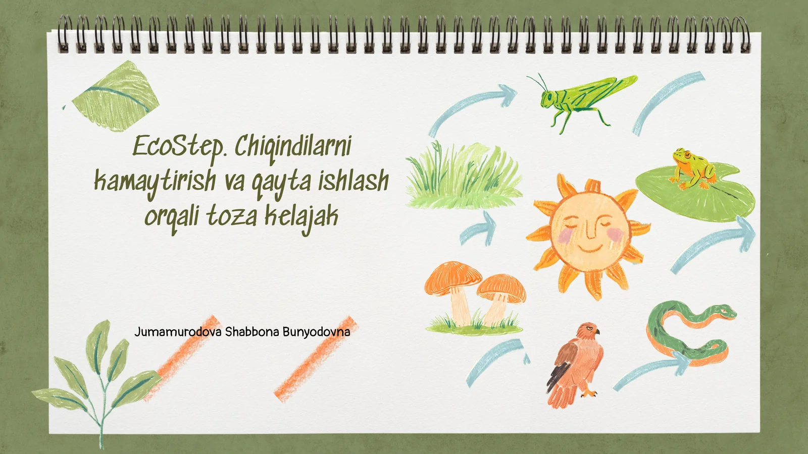 EcoStep