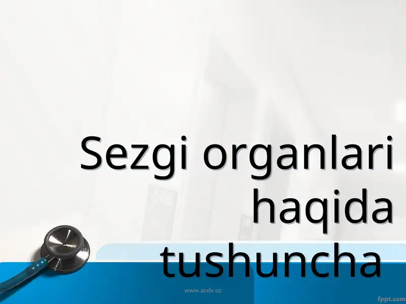 Sezgi organlari haqida tushuncha