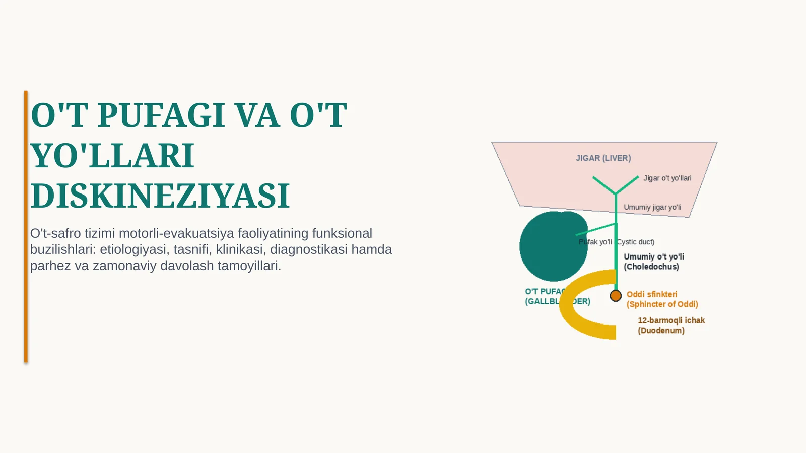 O‘T PUFAGI DISKINEZIYASI — SABABLARI, BELGILARI, TASHXISI VA DAVOLASH | 15 SLAYDLI TIBBIY TAQDIMOT