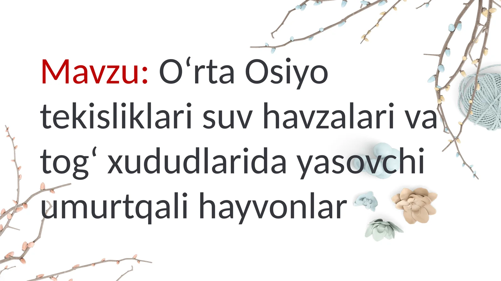 Baliqlar sinfi