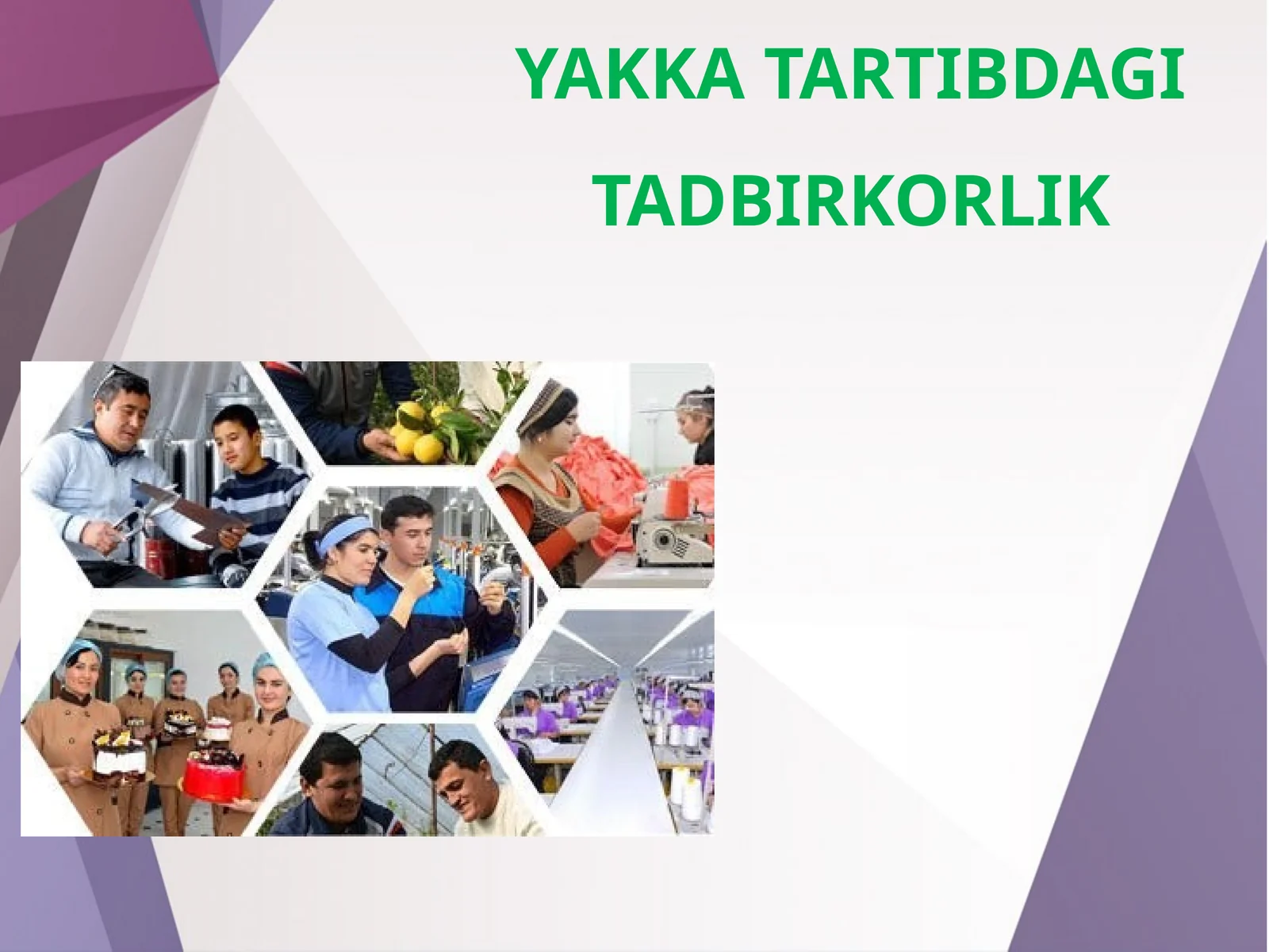 11-sinf Tadbirkorlik asoslari fanidan Yakka tartibdagi tadbirkorlik