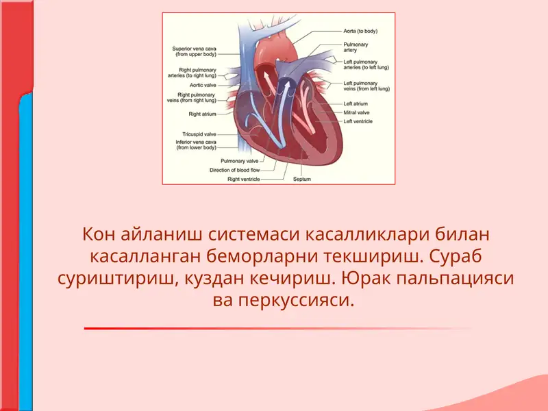 Кон айланиш системаси касалликлари билан касалланган беморларни текшириш. Сураб суриштириш, куздан кечириш. Юрак пальпацияси ва перкуссияси.