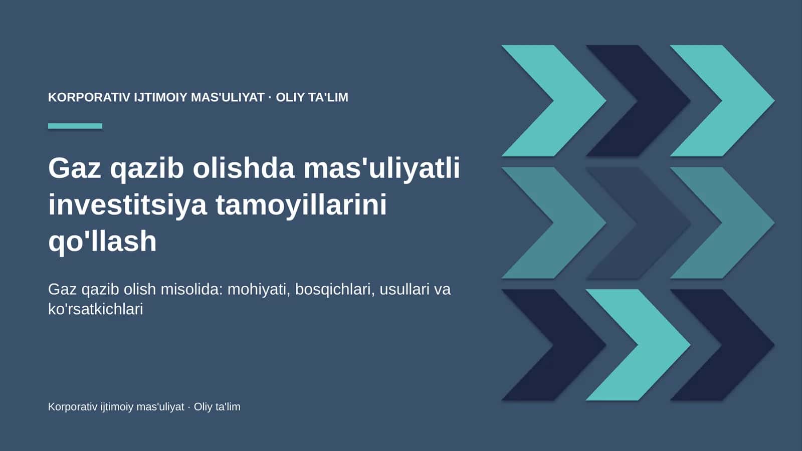 gaz qazib olishda mas'uliyatli investitsiya tamoyillarini qo'llash 5223
