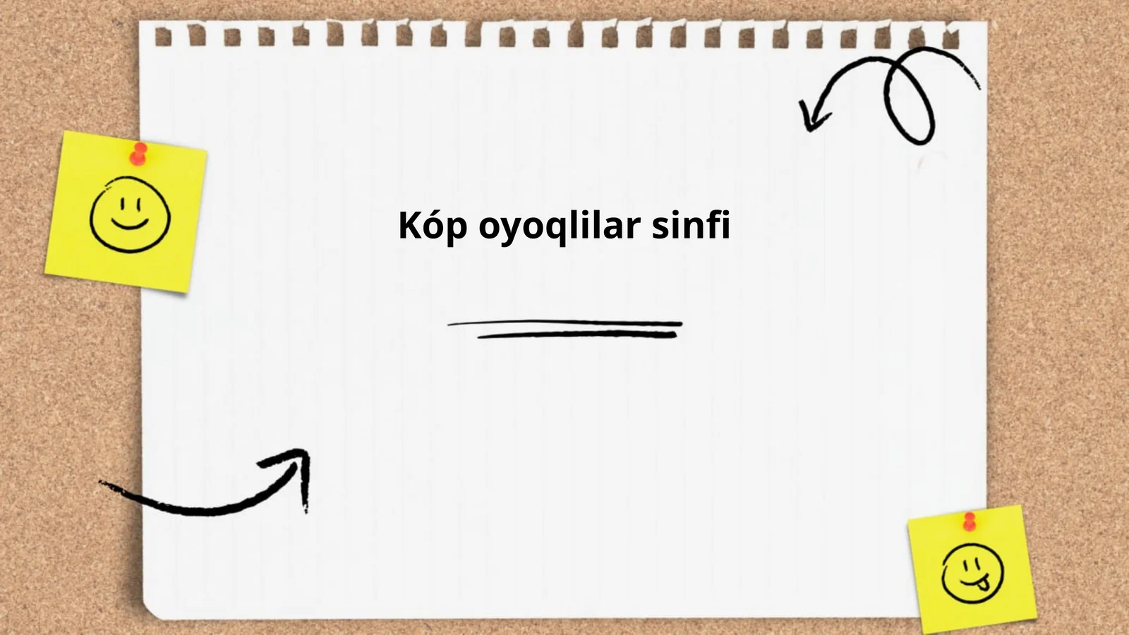 Kóp oyoqlilar sinfi
