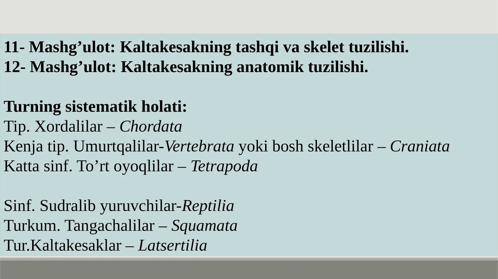 Kaltakesakning tashqi va skelet tuzilishi