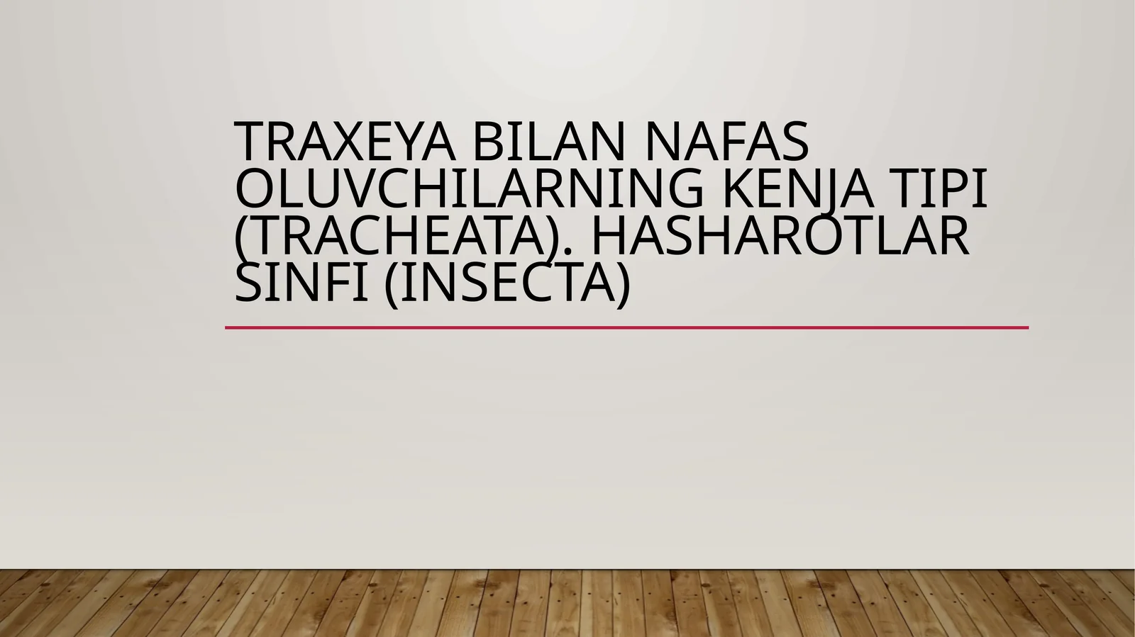 Traxeya bilan nafas oluvchilarning kenja tipi (tracheata). Hasharotlar sinfi (insecta)