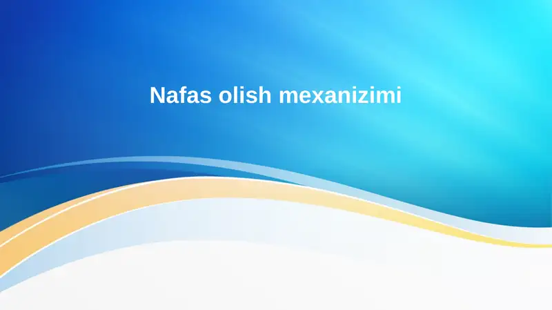 Nafas olish mexanizimi