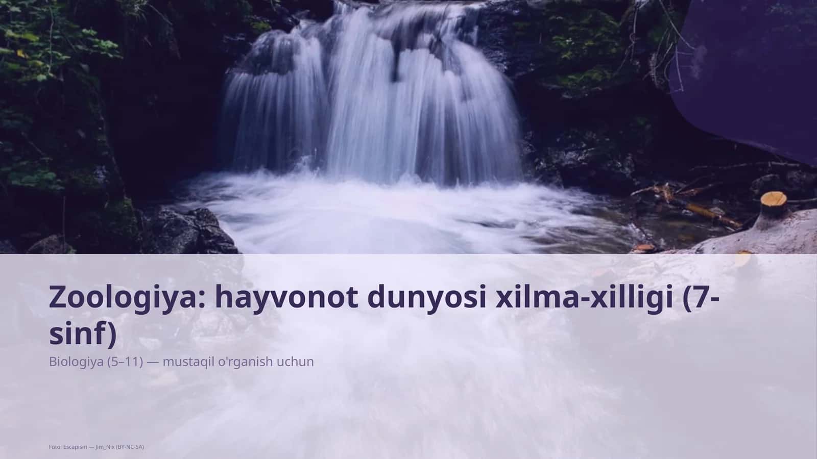 Zoologiya: hayvonot dunyosi xilma-xilligi (7-sinf)