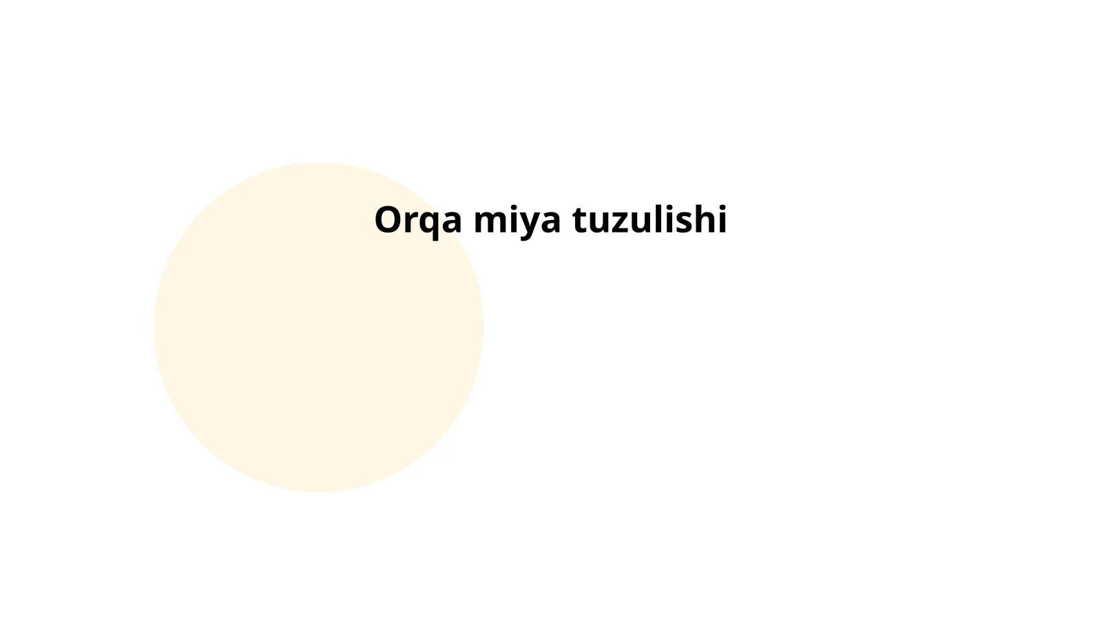 Orqa miya tuzulishi