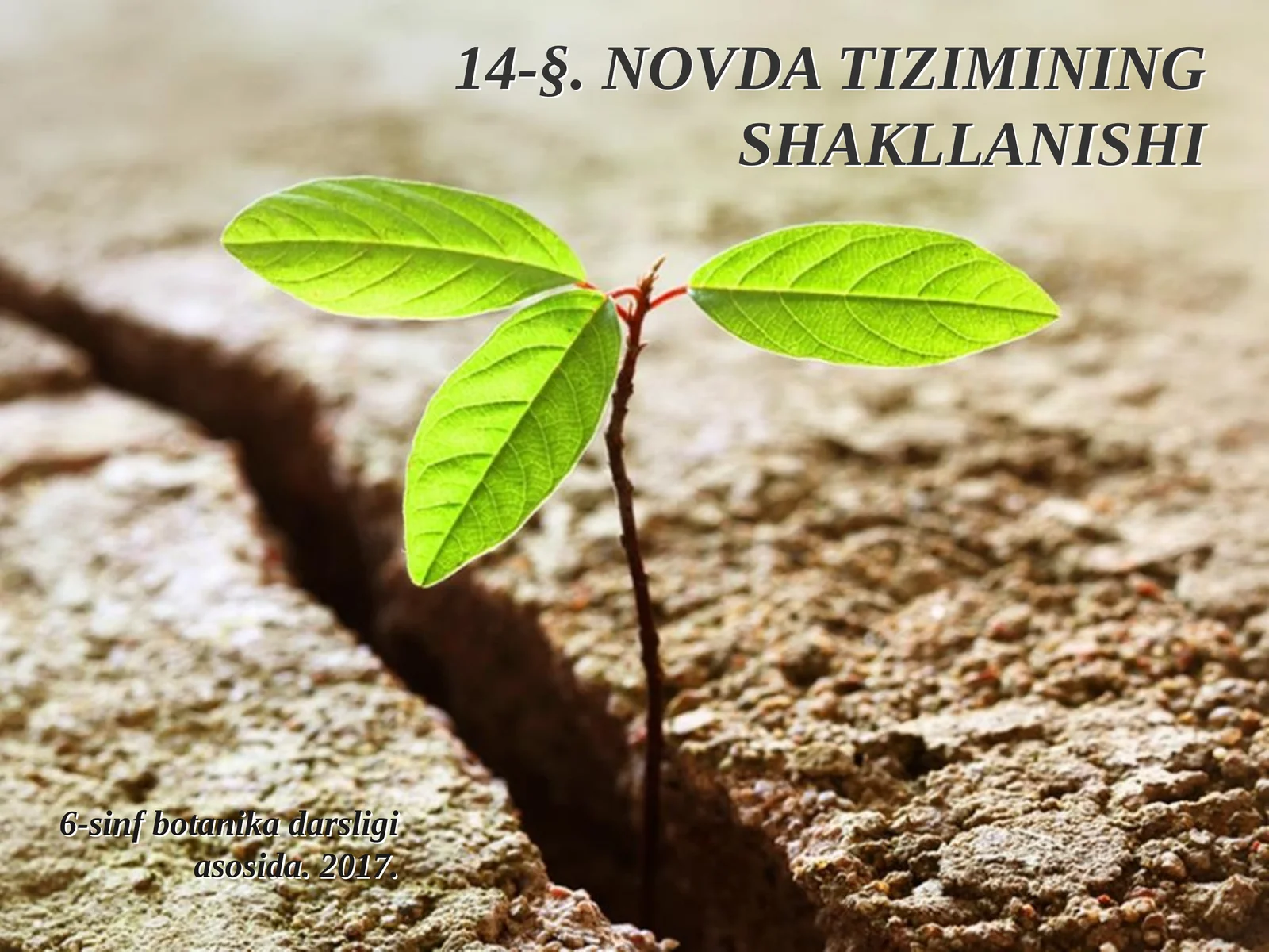 6-sinf Botanika Novda tizimimg shakllanishi