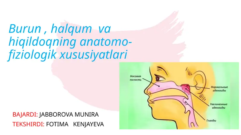 Burun, halqum va hiqildoqning anatomo-fiziologik xususiyatlari