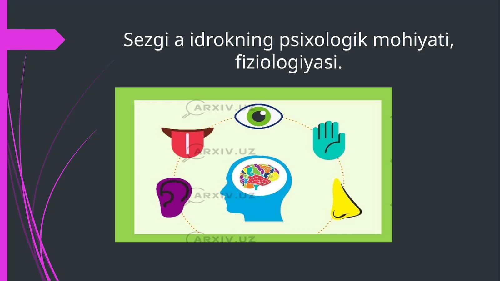 Sezgi va idrokning psixologik mohiyati, fiziologiyasi.