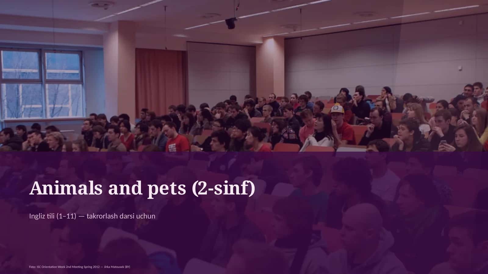 Animals and pets (2-sinf) Ingliz tili (1–11) — takrorlash darsi uchun