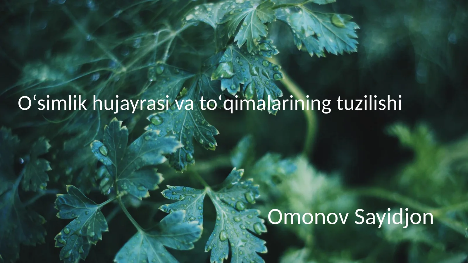 Oʻsimlik hujayrasi va toʻqimalarining tuzilishi
