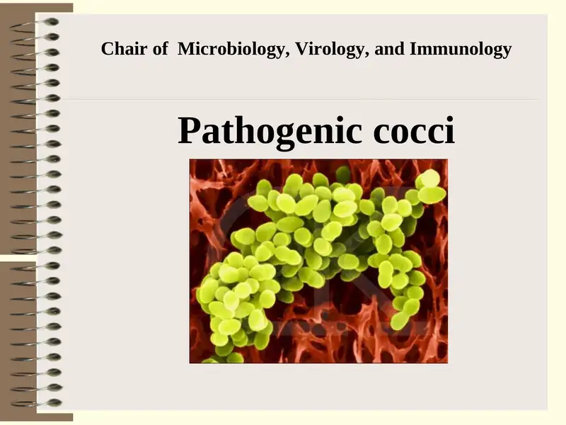 Chairof Microbiology, Virology, and Immunology