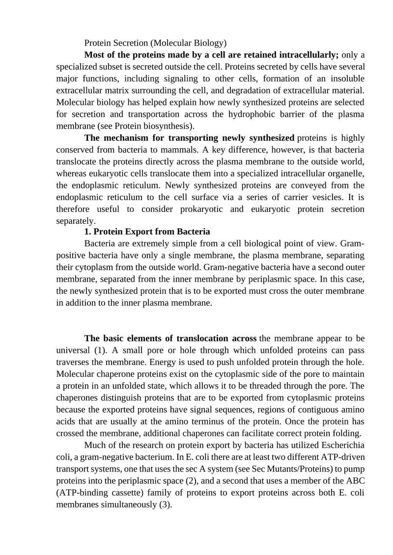 Protein Secretion (Molecular Biology)