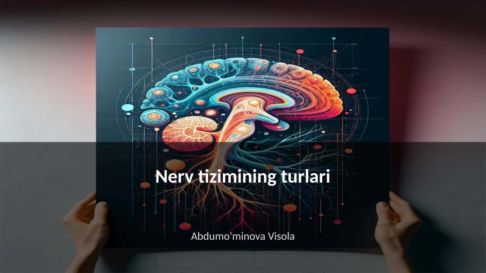 Nerv tizimining turlari