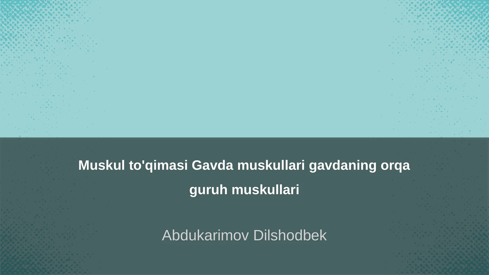 Muskul to'qimasi Gavda muskullari gavdaning orqa guruh muskullari