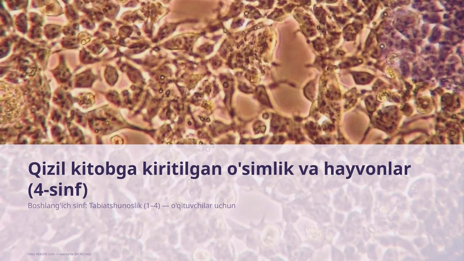 Qizil kitobga kiritilgan o'simlik va hayvonlar (4-sinf)