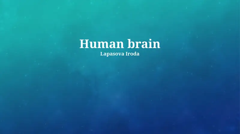 Human brain