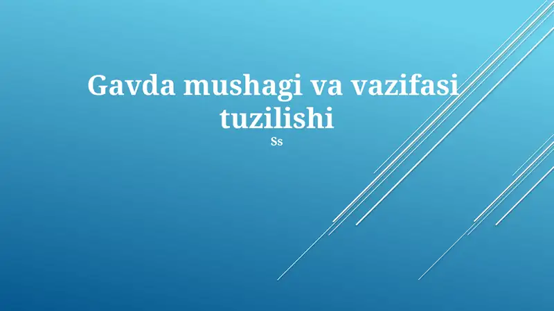 Gavda mushagi va vazifasi tuzilishi