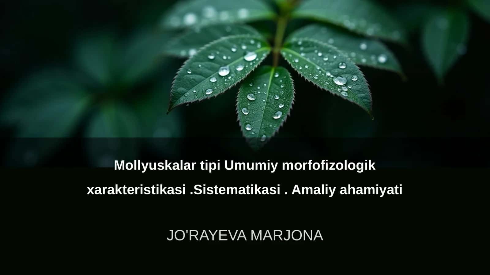 Mollyuskalar tipi Umumiy morfofizologik xarakteristikasi