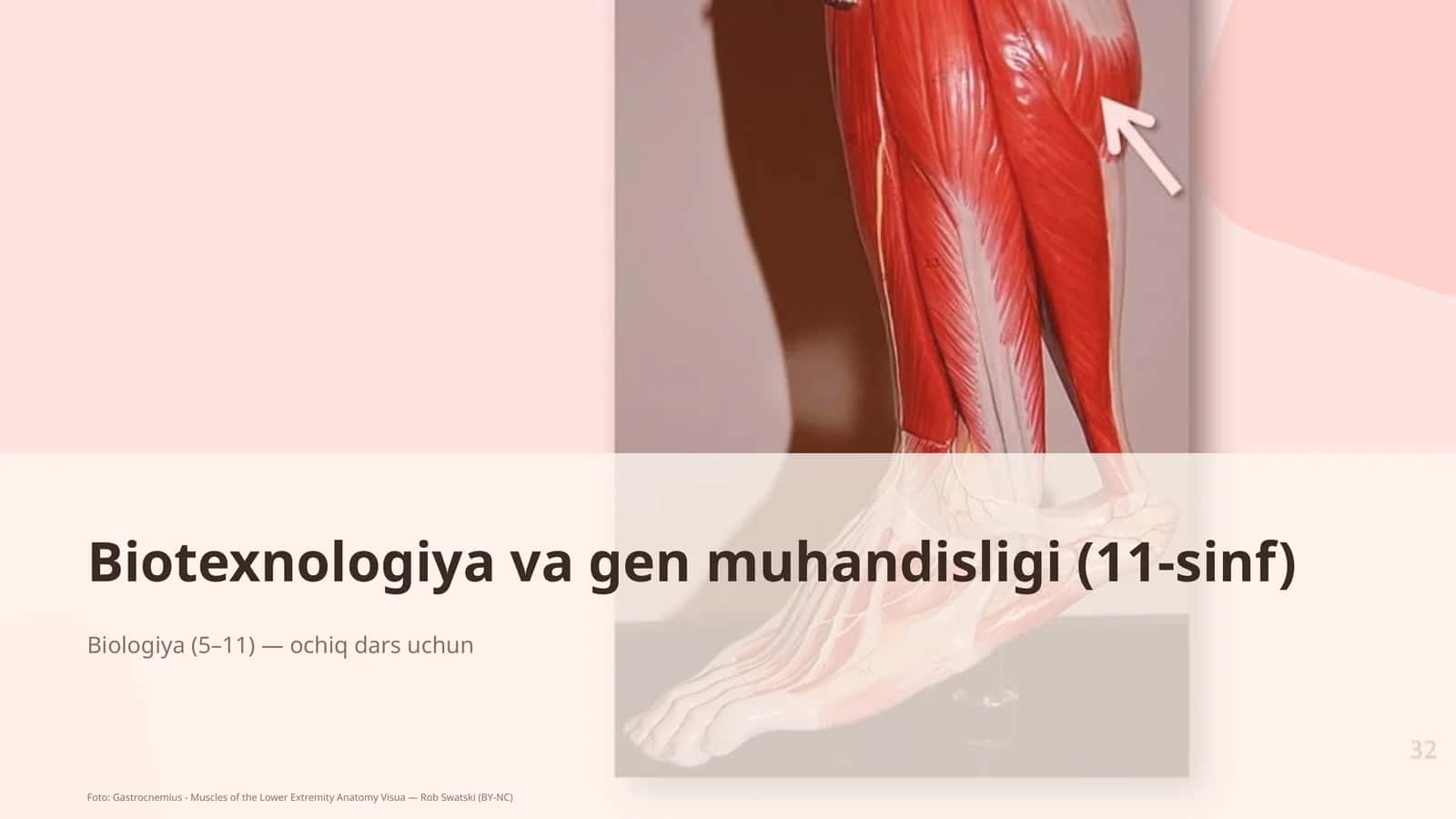Biotexnologiya va gen muhandisligi (11-sinf)