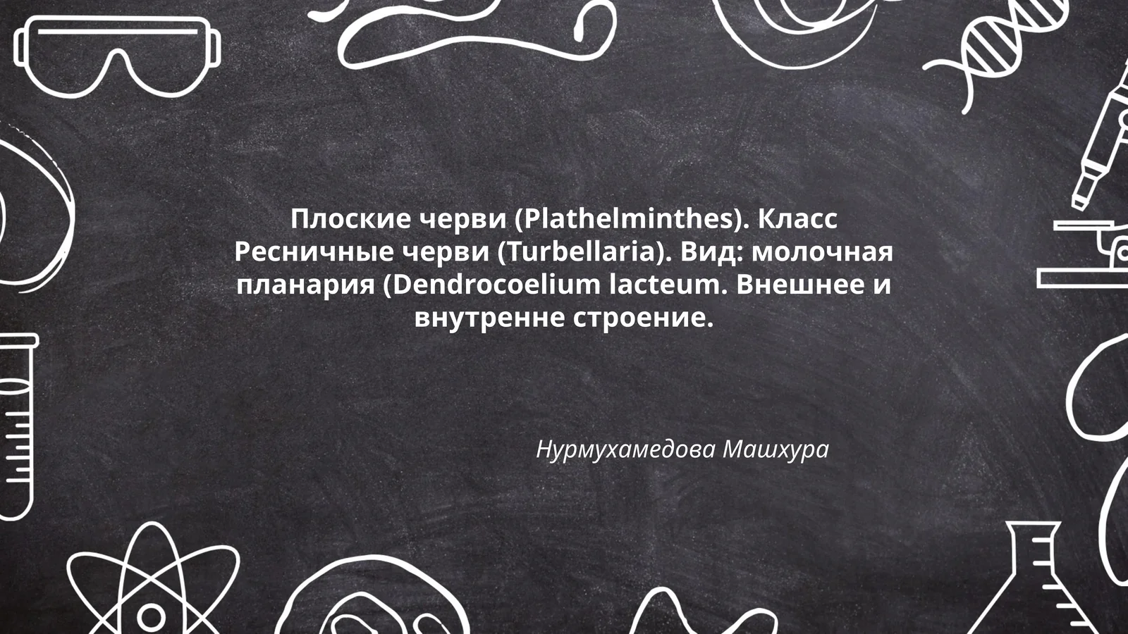 Молочная планария (Dendrocoelium lacteum)