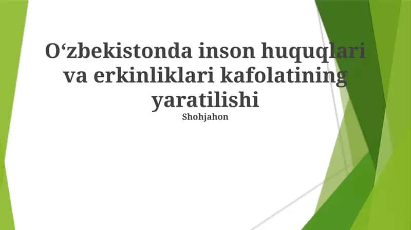 O'zbekistonda inson huquqlari va erkinliklari kafolatining yaratilishi